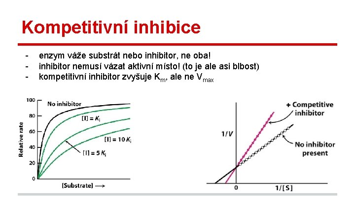 Kompetitivní inhibice - enzym váže substrát nebo inhibitor, ne oba! inhibitor nemusí vázat aktivní