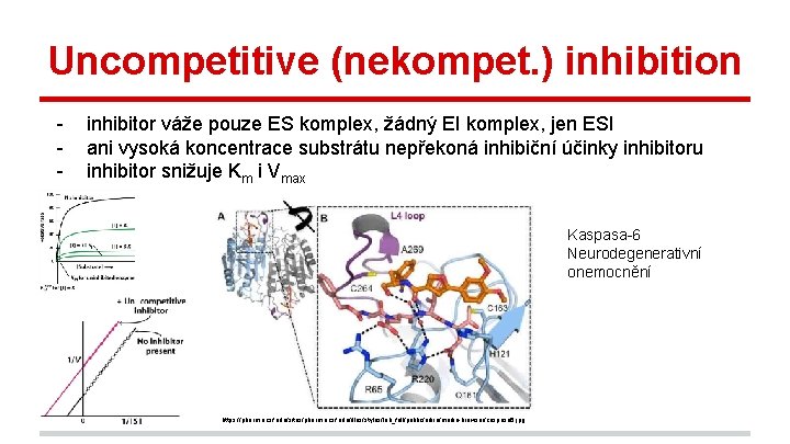 Uncompetitive (nekompet. ) inhibition - inhibitor váže pouze ES komplex, žádný EI komplex, jen