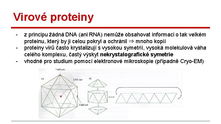 Virové proteiny - z principu žádná DNA (ani RNA) nemůže obsahovat informaci o tak