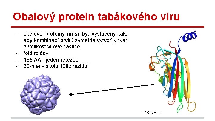 Obalový protein tabákového viru - obalové proteiny musí být vystavěny tak, aby kombinací prvků