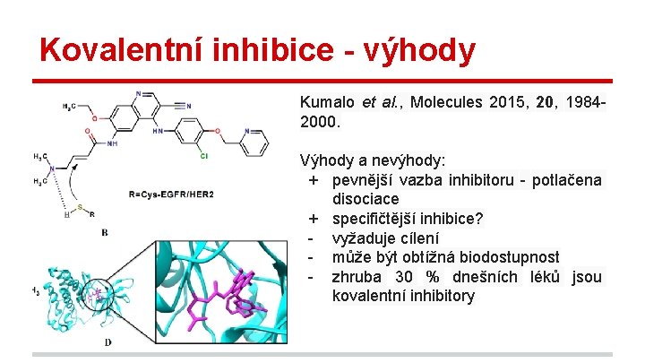 Kovalentní inhibice - výhody Kumalo et al. , Molecules 2015, 20, 19842000. Výhody a