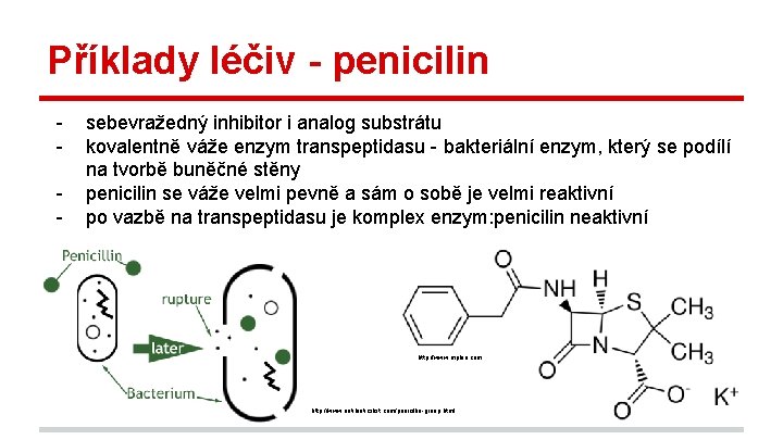 Příklady léčiv - penicilin - sebevražedný inhibitor i analog substrátu kovalentně váže enzym transpeptidasu