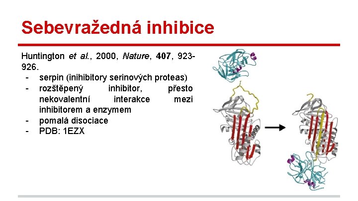 Sebevražedná inhibice Huntington et al. , 2000, Nature, 407, 923926. - serpin (inihibitory serinových