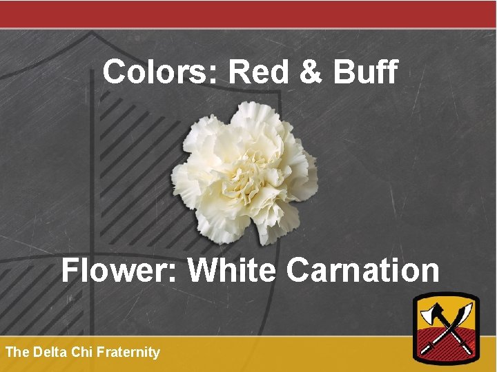 Colors: Red & Buff Flower: White Carnation The Delta Chi Fraternity 