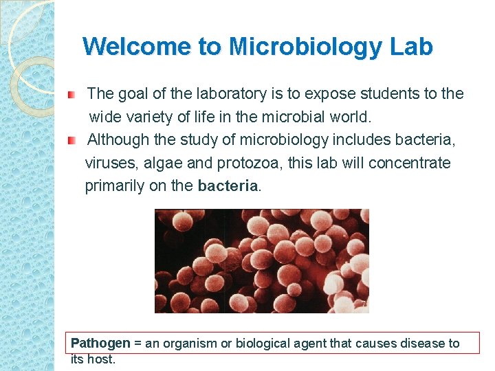 Welcome to Microbiology Lab The goal of the laboratory is to expose students to