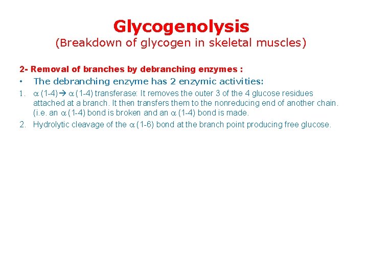Glycogenolysis (Breakdown of glycogen in skeletal muscles) 2 - Removal of branches by debranching