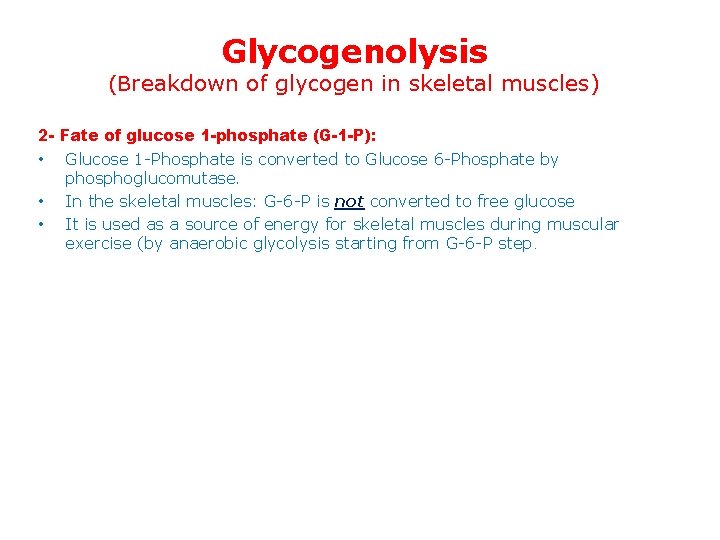 Glycogenolysis (Breakdown of glycogen in skeletal muscles) 2 - Fate of glucose 1 -phosphate