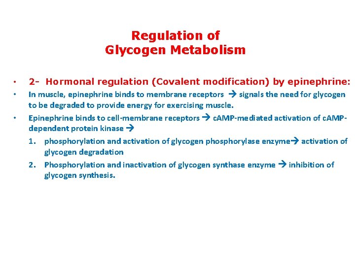 Regulation of Glycogen Metabolism • • • 2 - Hormonal regulation (Covalent modification) by