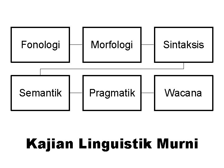 Fonologi Morfologi Sintaksis Semantik Pragmatik Wacana Kajian Linguistik Murni 