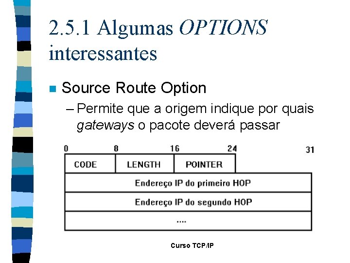 2. 5. 1 Algumas OPTIONS interessantes n Source Route Option – Permite que a