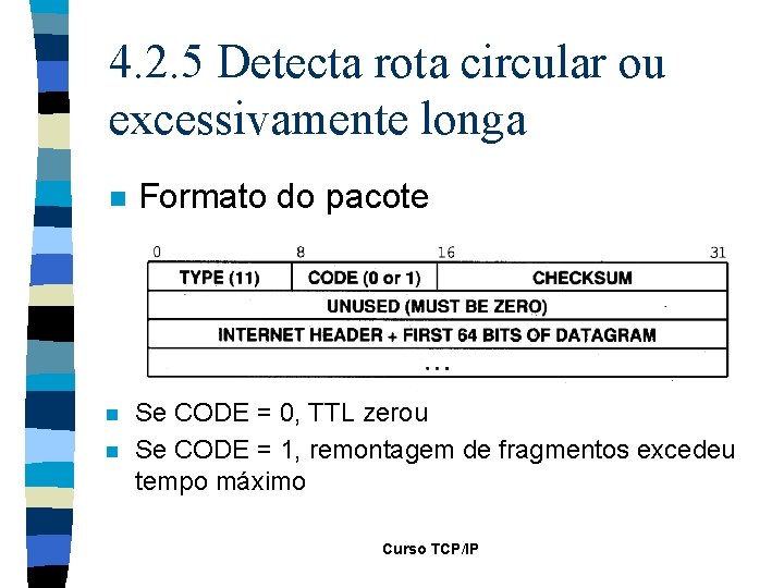 4. 2. 5 Detecta rota circular ou excessivamente longa n Formato do pacote n