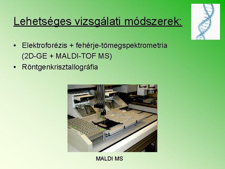 Lehetséges vizsgálati módszerek: • Elektroforézis + fehérje-tömegspektrometria (2 D-GE + MALDI-TOF MS) • Röntgenkrisztallográfia