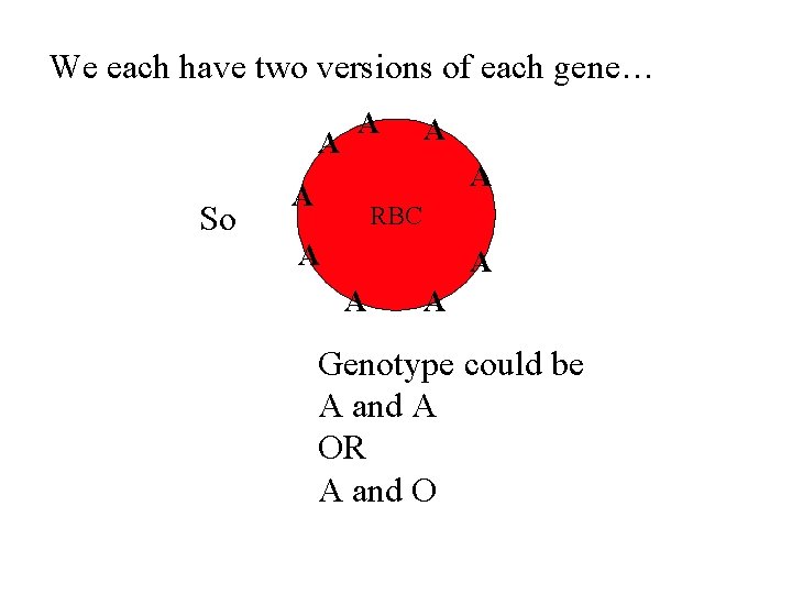 We each have two versions of each gene… A So A A RBC A