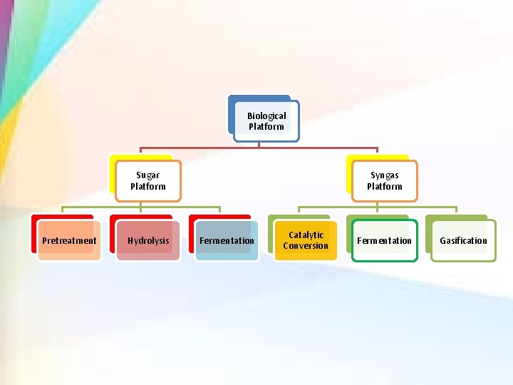 Biological Platform Sugar Platform Pretreatment Hydrolysis Syngas Platform Fermentation Catalytic Conversion Fermentation Gasification 