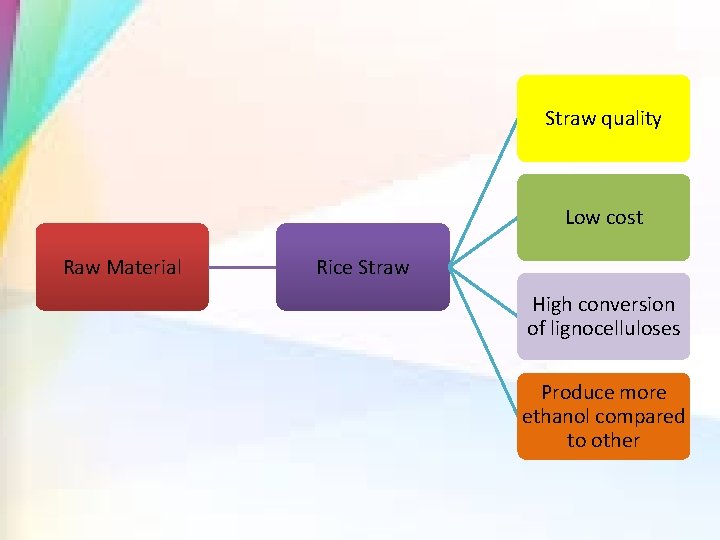 Straw quality Low cost Raw Material Rice Straw High conversion of lignocelluloses Produce more