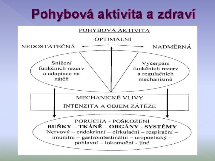 Pohybová aktivita a zdraví 