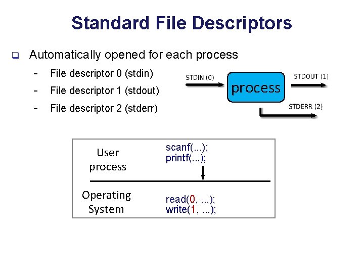 Standard File Descriptors q Automatically opened for each process - File descriptor 0 (stdin)