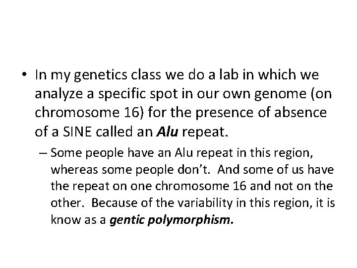  • In my genetics class we do a lab in which we analyze