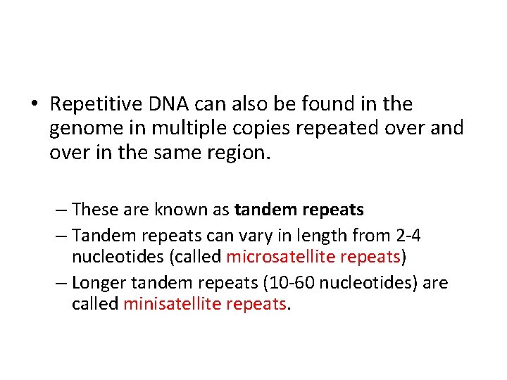  • Repetitive DNA can also be found in the genome in multiple copies