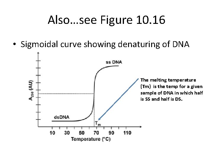 Also…see Figure 10. 16 • Sigmoidal curve showing denaturing of DNA The melting temperature