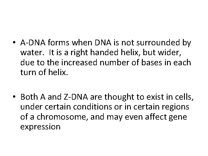  • A-DNA forms when DNA is not surrounded by water. It is a