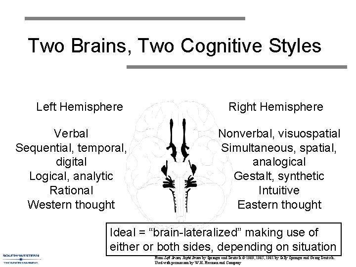 Two Brains, Two Cognitive Styles Left Hemisphere Verbal Sequential, temporal, digital Logical, analytic Rational