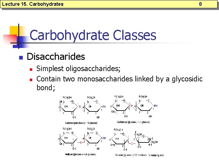 Lecture 15. Carbohydrates 8 Carbohydrate Classes n Disaccharides n n Simplest oligosaccharides; Contain two