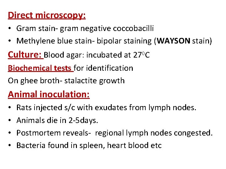 Direct microscopy: • Gram stain- gram negative coccobacilli • Methylene blue stain- bipolar staining