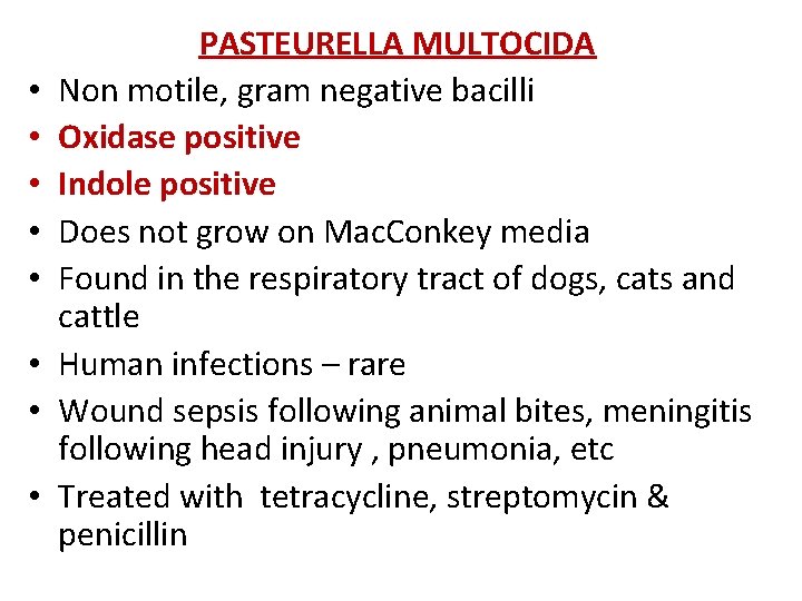  • • PASTEURELLA MULTOCIDA Non motile, gram negative bacilli Oxidase positive Indole positive