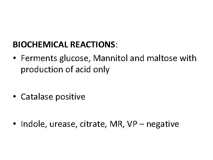 BIOCHEMICAL REACTIONS: • Ferments glucose, Mannitol and maltose with production of acid only •