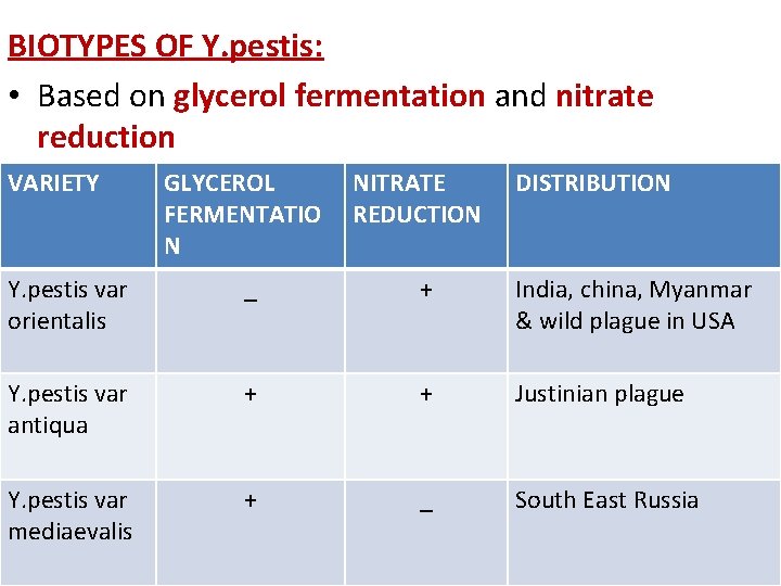 BIOTYPES OF Y. pestis: • Based on glycerol fermentation and nitrate reduction VARIETY GLYCEROL