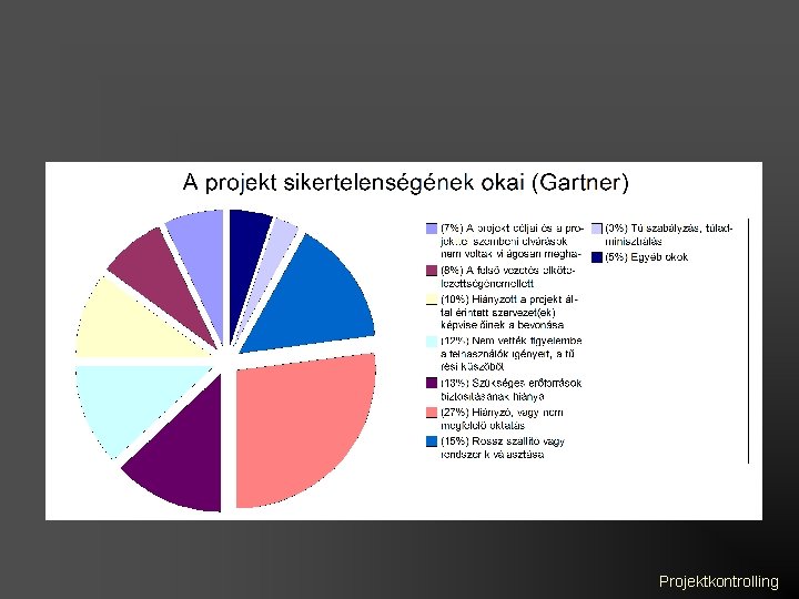 Projektkontrolling 