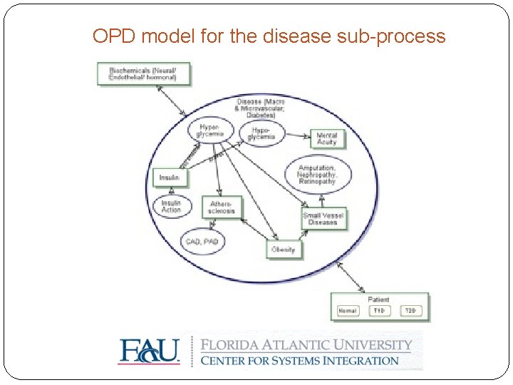 OPD model for the disease sub-process 