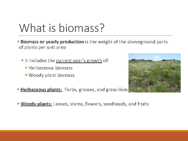 What is biomass? § Biomass or yearly production is the weight of the aboveground