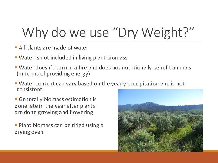 Why do we use “Dry Weight? ” § All plants are made of water