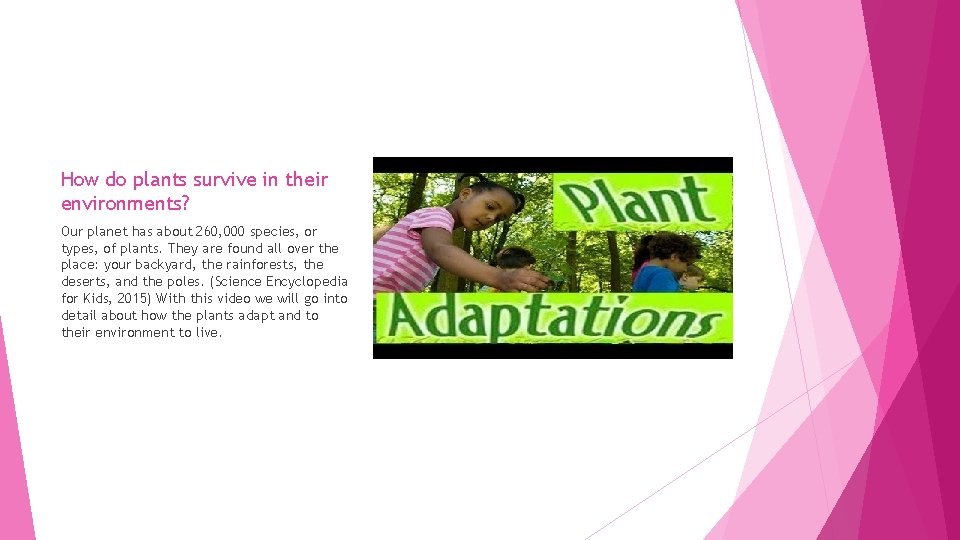 How do plants survive in their environments Brittani