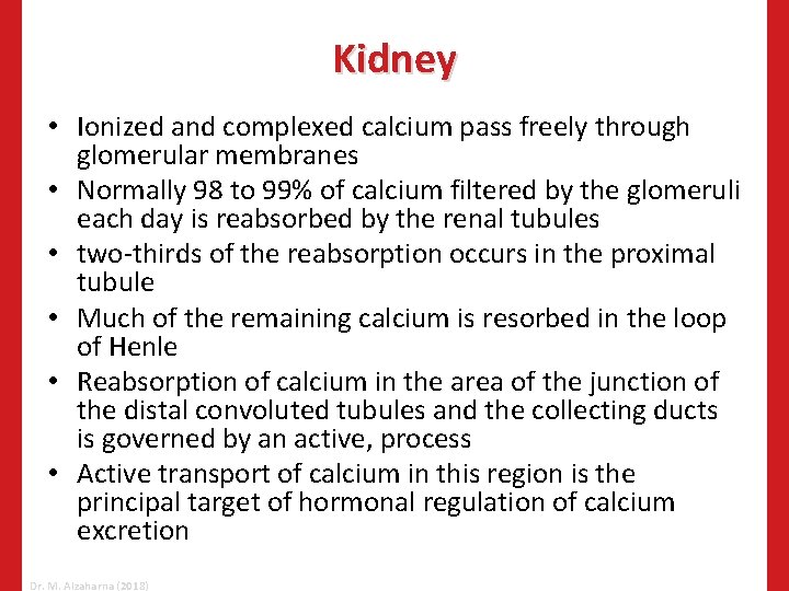 Kidney • Ionized and complexed calcium pass freely through glomerular membranes • Normally 98