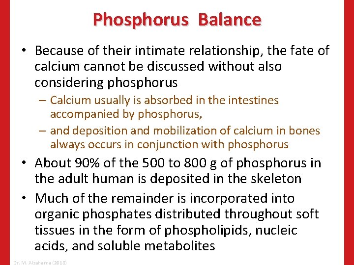 Phosphorus Balance • Because of their intimate relationship, the fate of calcium cannot be
