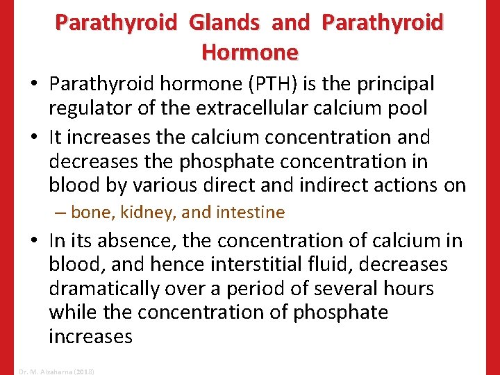 Parathyroid Glands and Parathyroid Hormone • Parathyroid hormone (PTH) is the principal regulator of