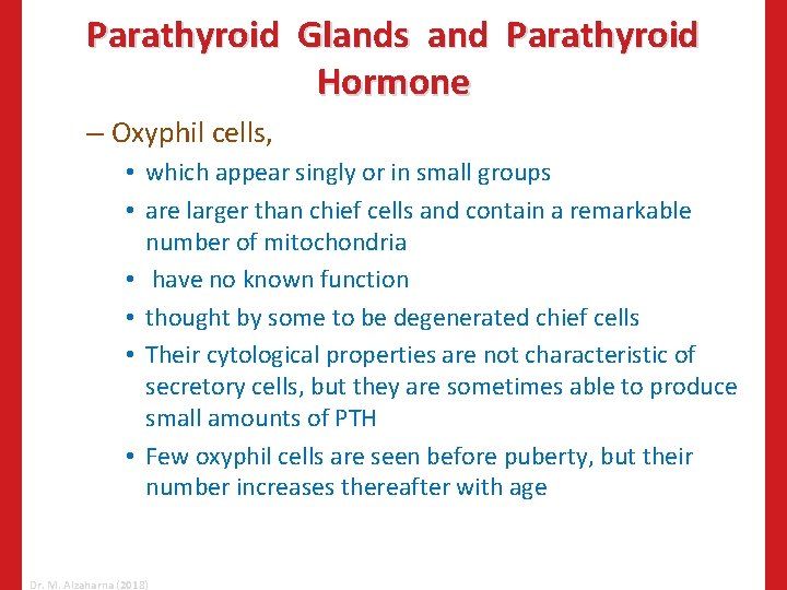 Parathyroid Glands and Parathyroid Hormone – Oxyphil cells, • which appear singly or in