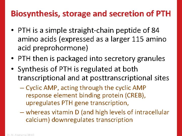 Biosynthesis, storage and secretion of PTH • PTH is a simple straight-chain peptide of