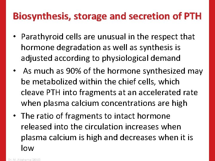 Biosynthesis, storage and secretion of PTH • Parathyroid cells are unusual in the respect