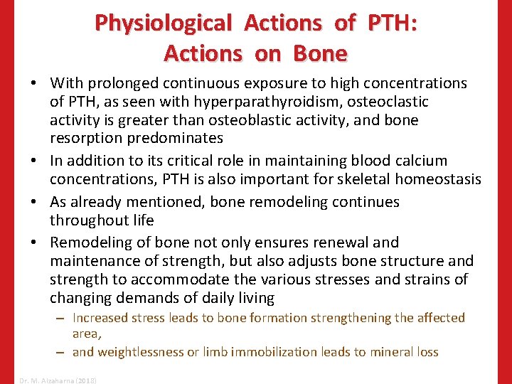 Physiological Actions of PTH: Actions on Bone • With prolonged continuous exposure to high