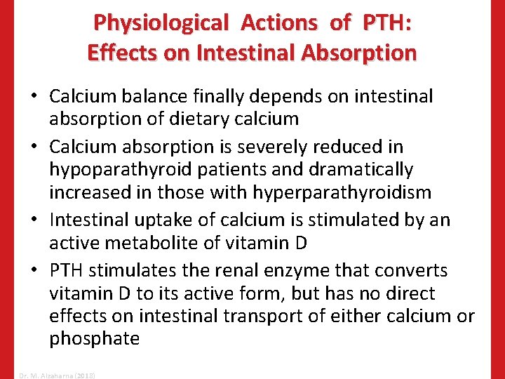 Physiological Actions of PTH: Effects on Intestinal Absorption • Calcium balance finally depends on