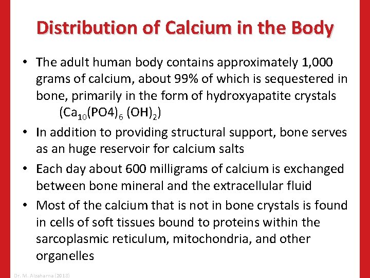 Distribution of Calcium in the Body • The adult human body contains approximately 1,