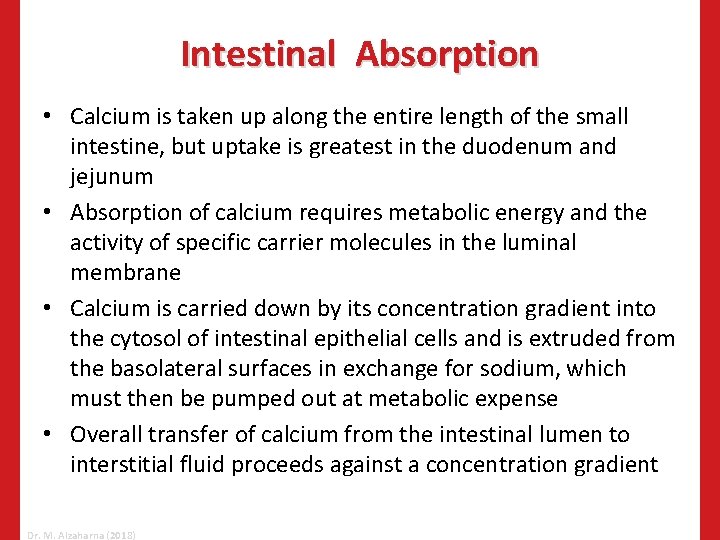 Intestinal Absorption • Calcium is taken up along the entire length of the small