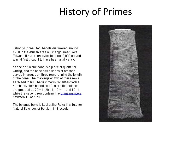 History of Primes Ishango bone: tool handle discovered around 1960 in the African area