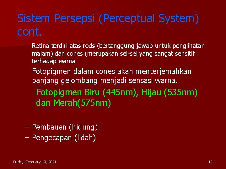 Sistem Persepsi (Perceptual System) cont. Retina terdiri atas rods (bertanggung jawab untuk penglihatan malam)