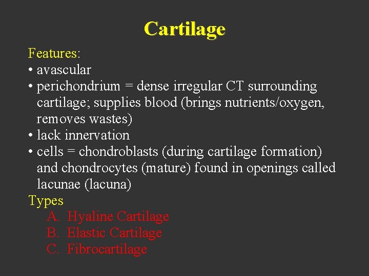 Cartilage Features: • avascular • perichondrium = dense irregular CT surrounding cartilage; supplies blood
