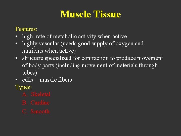 Muscle Tissue Features: • high rate of metabolic activity when active • highly vascular